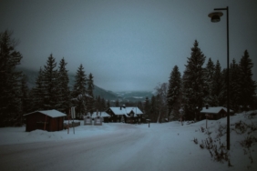 Mastiff Norway, Norveç'te Werewolves Formatını Üretecek